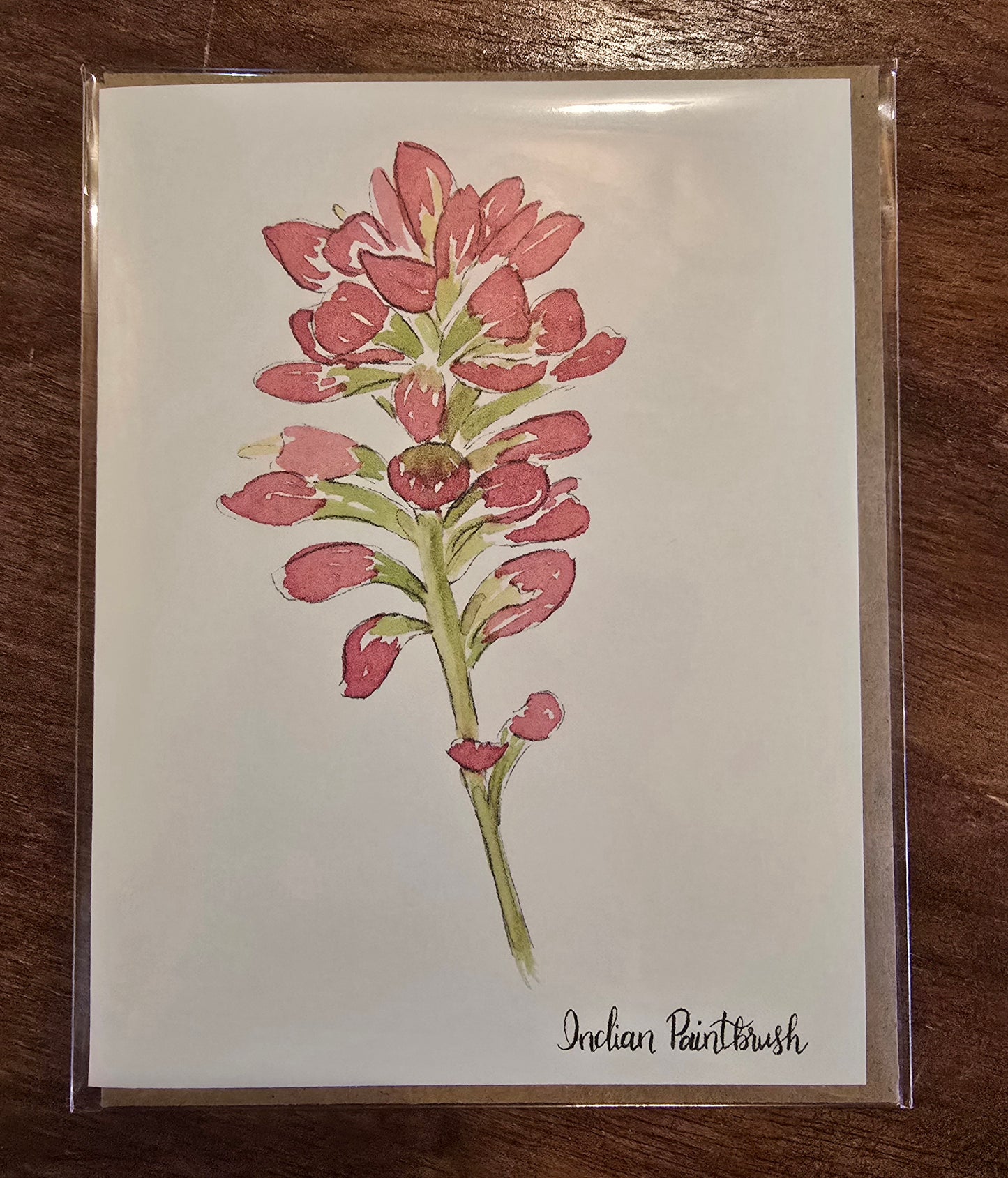 Indian Paintbrusgh Card