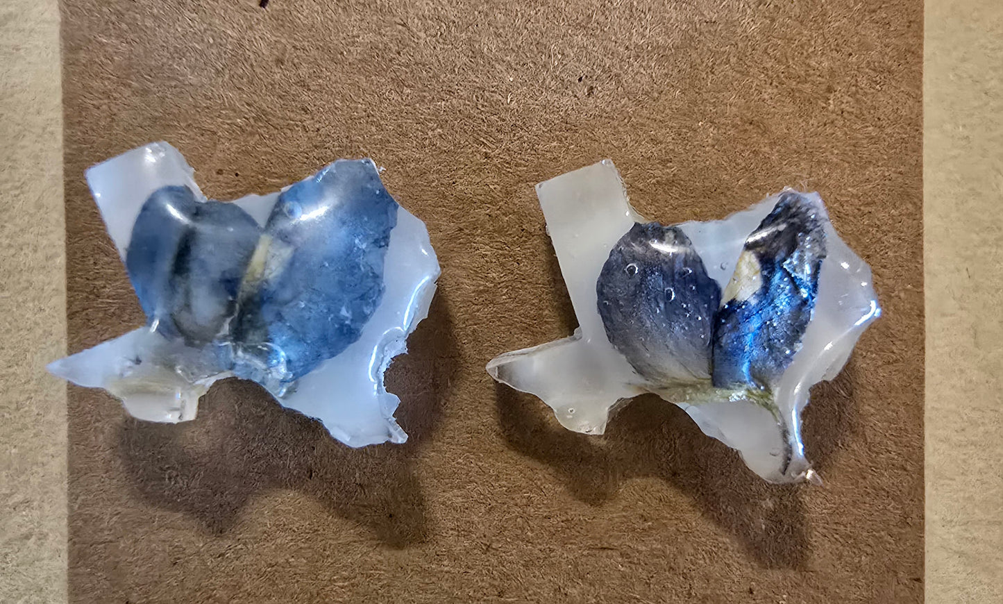 Texas Shaped Pressed Bluebonnet Stud Earrings