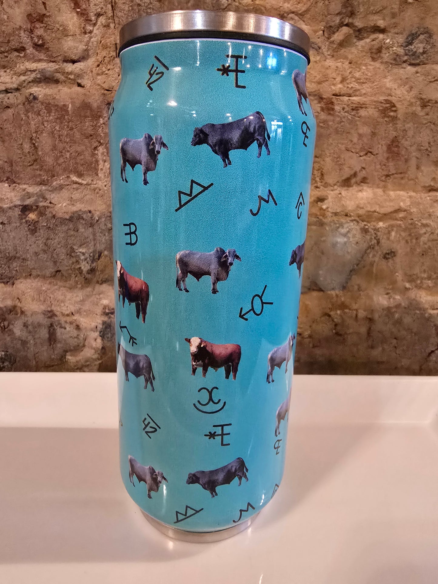 16oz Insulated Can Tumbler