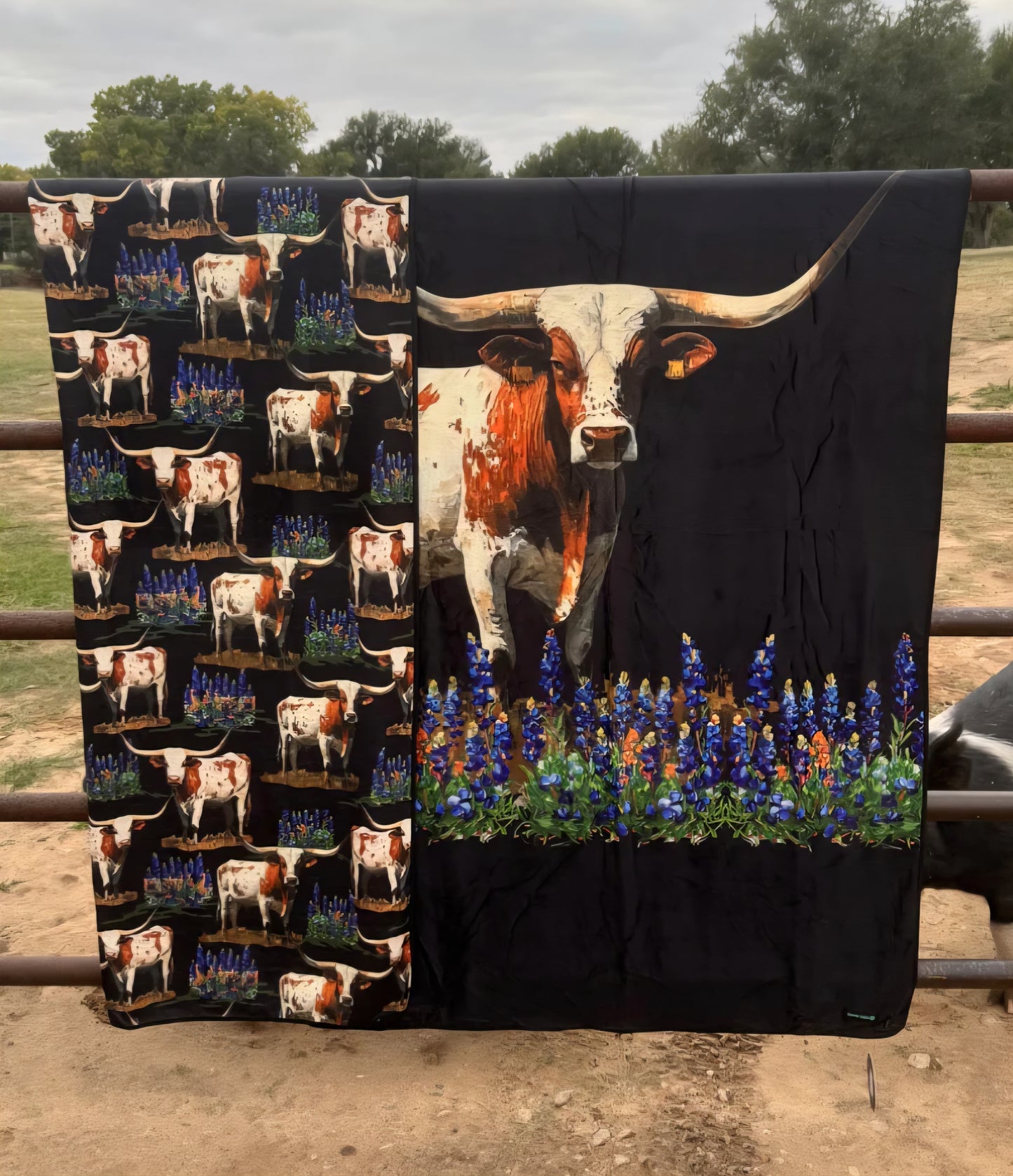 Texas Plains Blanket