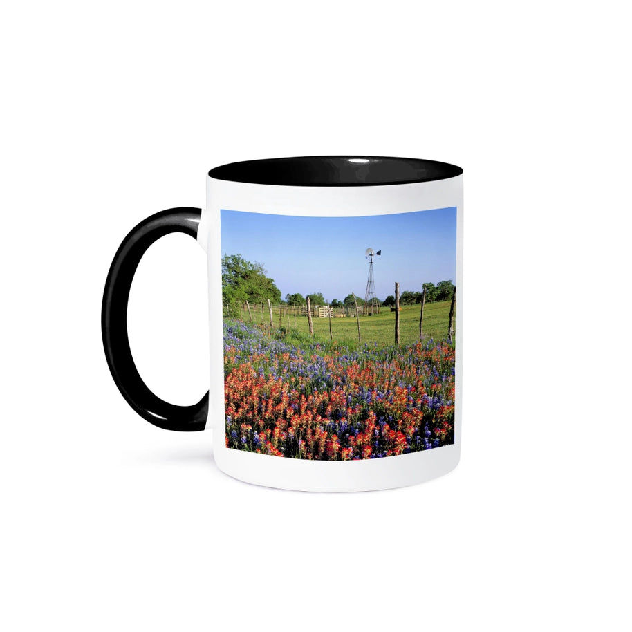 Indian Paintbrush, Bluebonnets Mug
