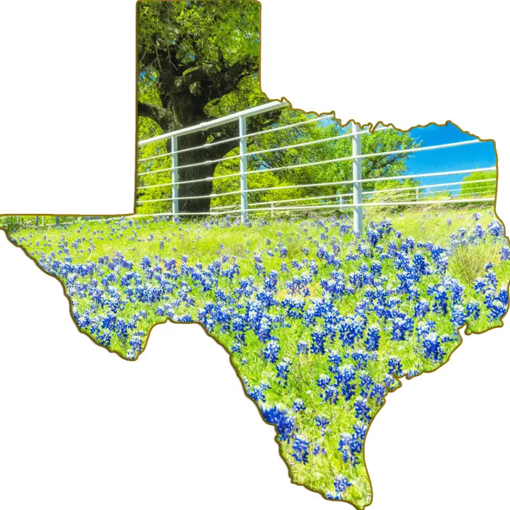 Texas-Shaped Magnet