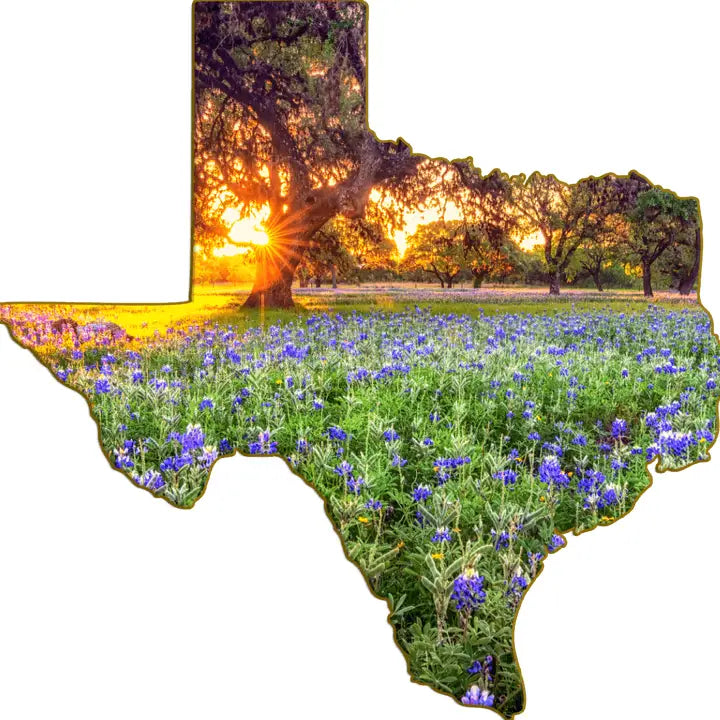 Texas-Shaped Magnet
