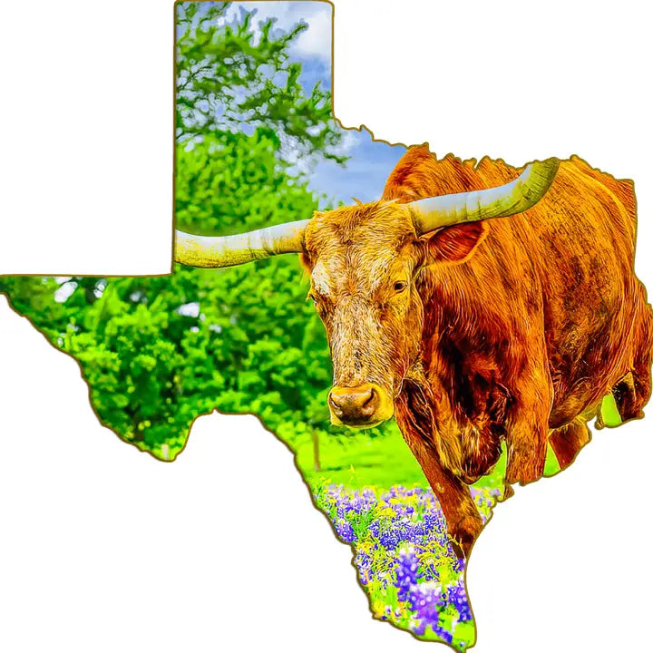 Texas-Shaped Magnet