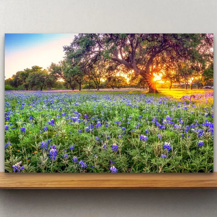 Texas Wooden Art and Postcards