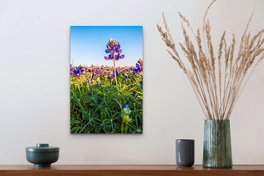 Texas Wooden Art and Postcards