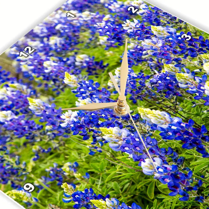 Bluebonnet Flowers Wall Clock