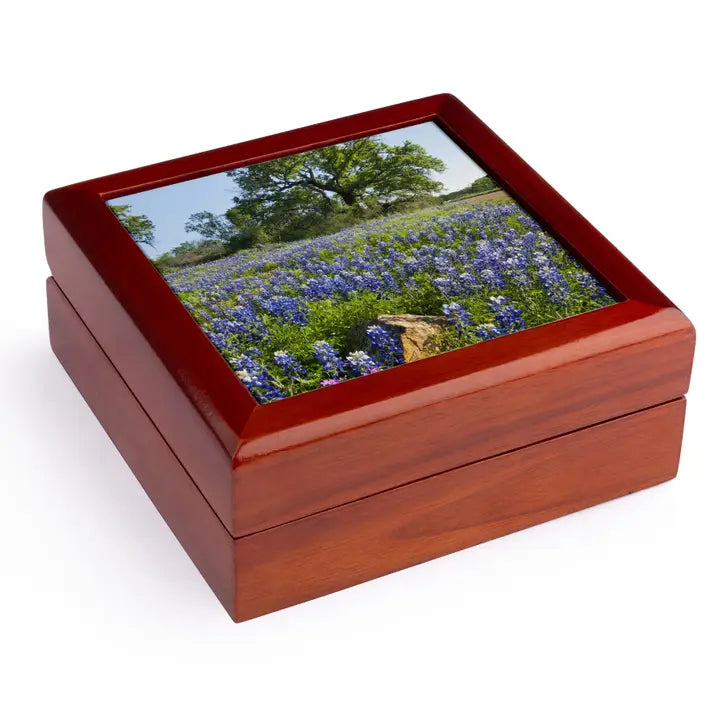 Bluebonnet Flowers Jewelry Box