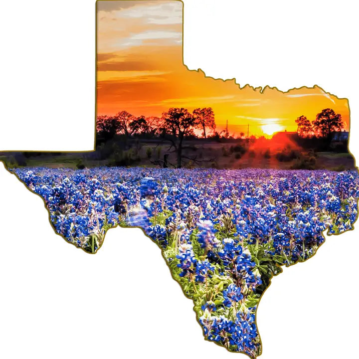 Texas-Shaped Magnet