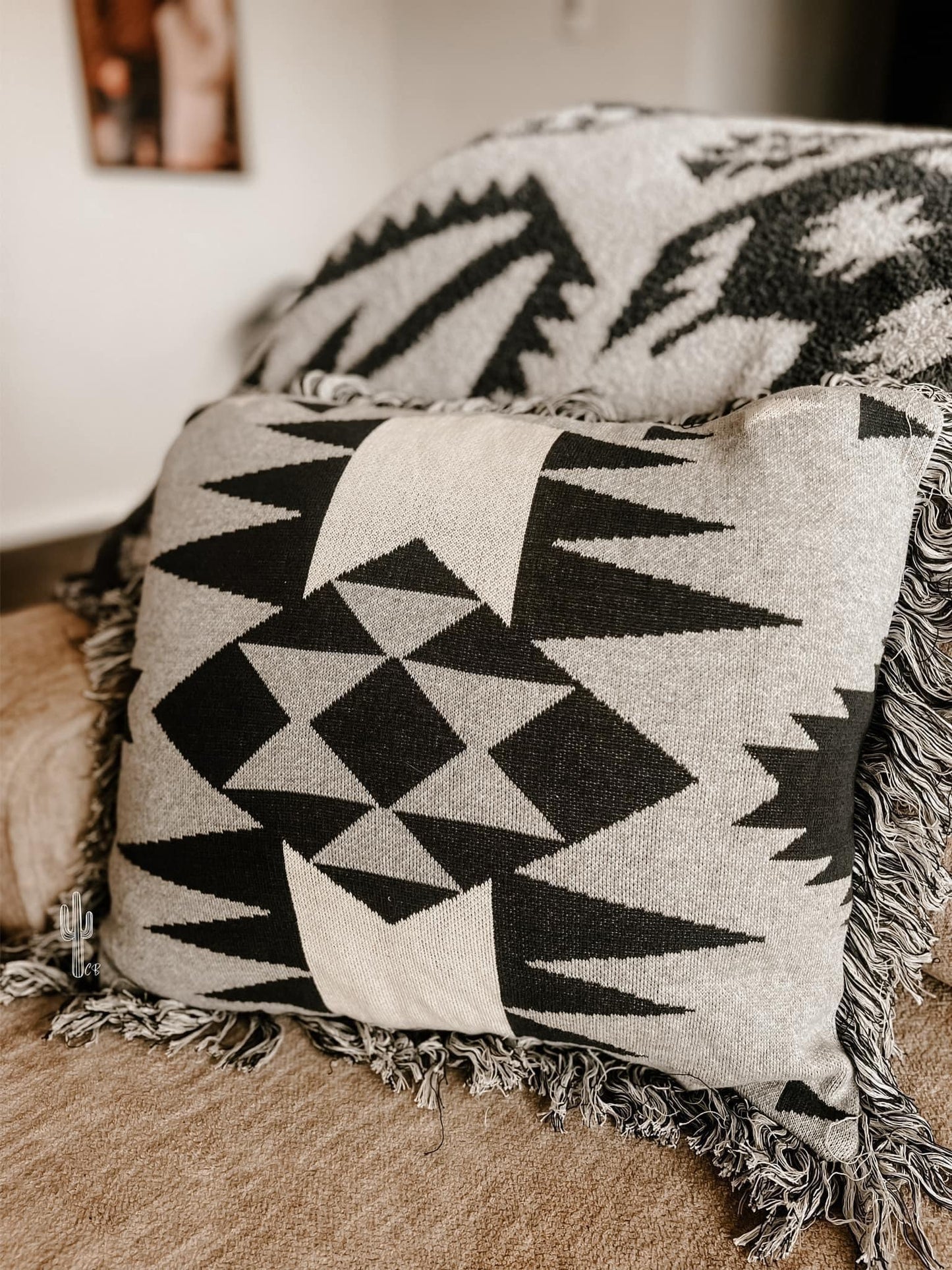 Southwestern Pillows