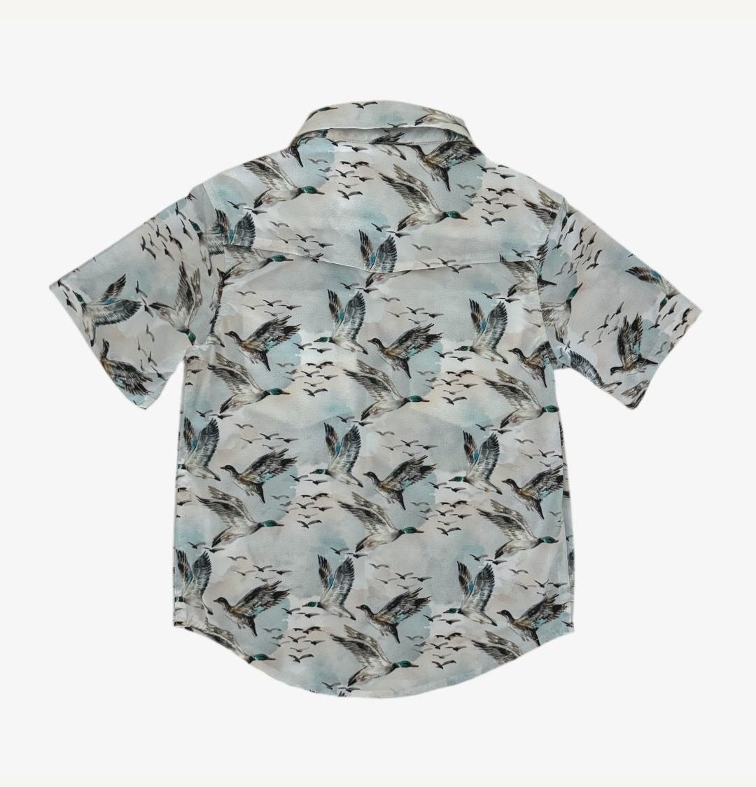 Performance Pearl Snap Men's/Mallard Sky