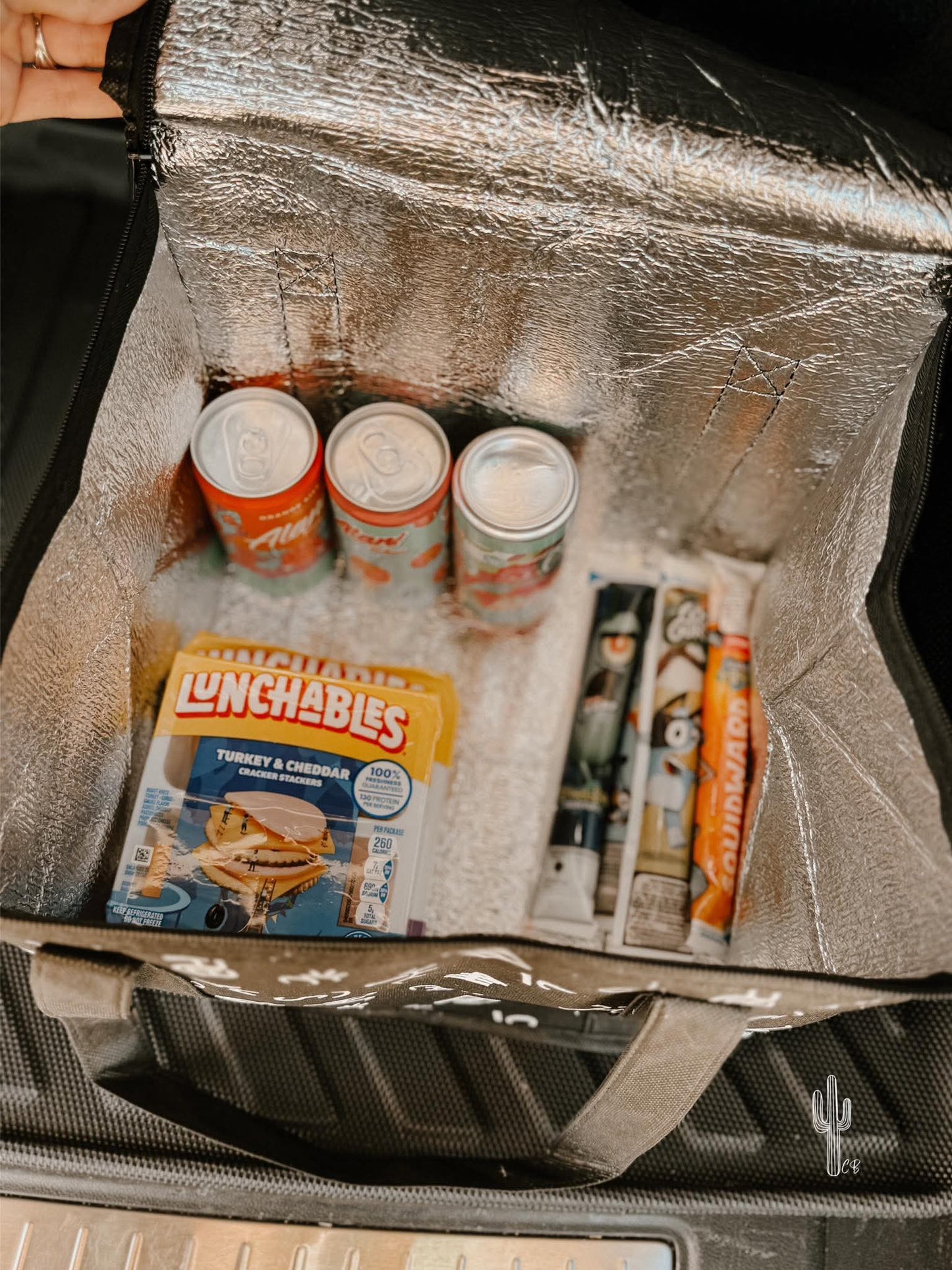 Insulated Reusable Bags
