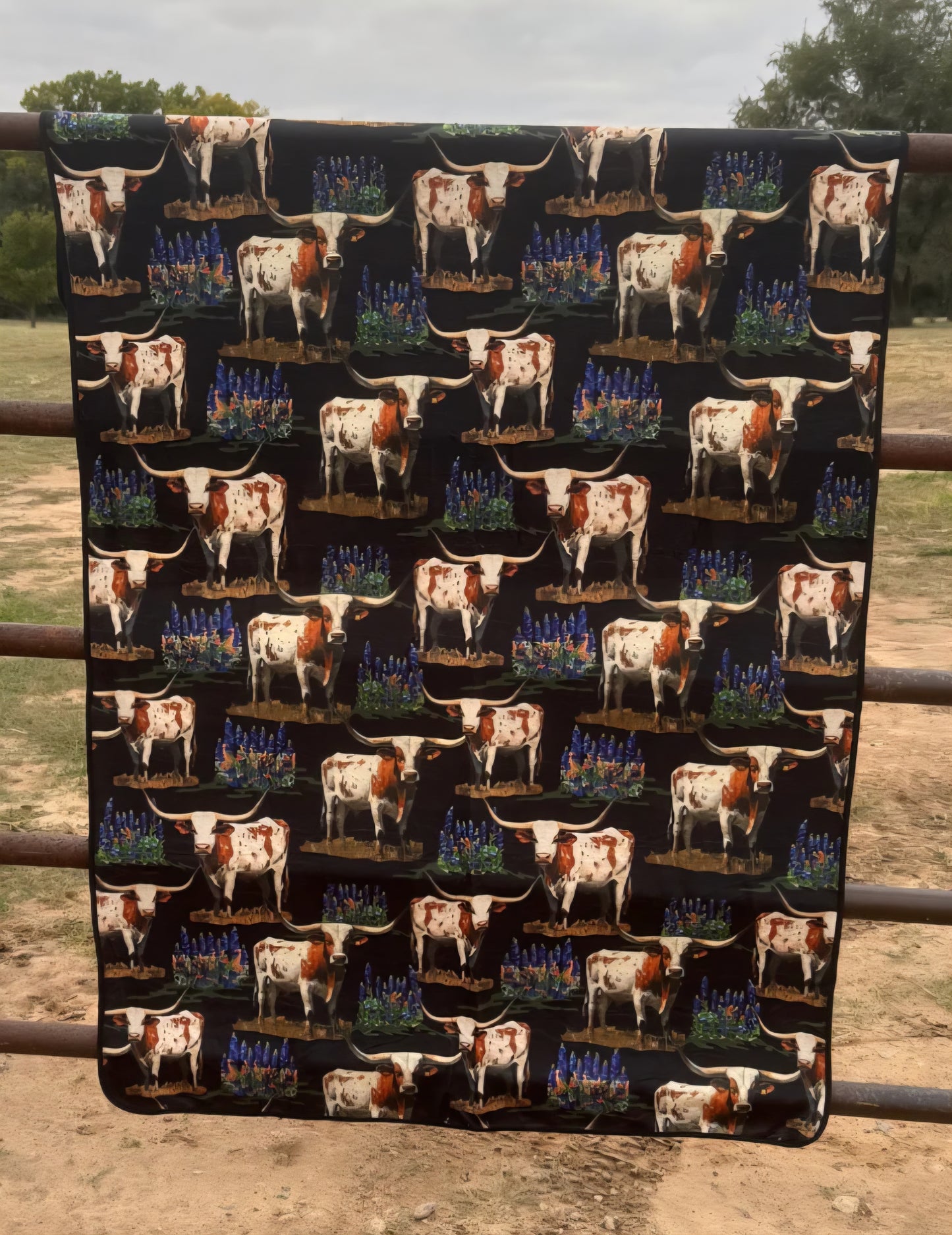 Texas Plains Blanket